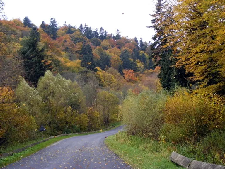 Baba (Beskid Niski): trasy turystyczne, atrakcje i ciekawe miejsca