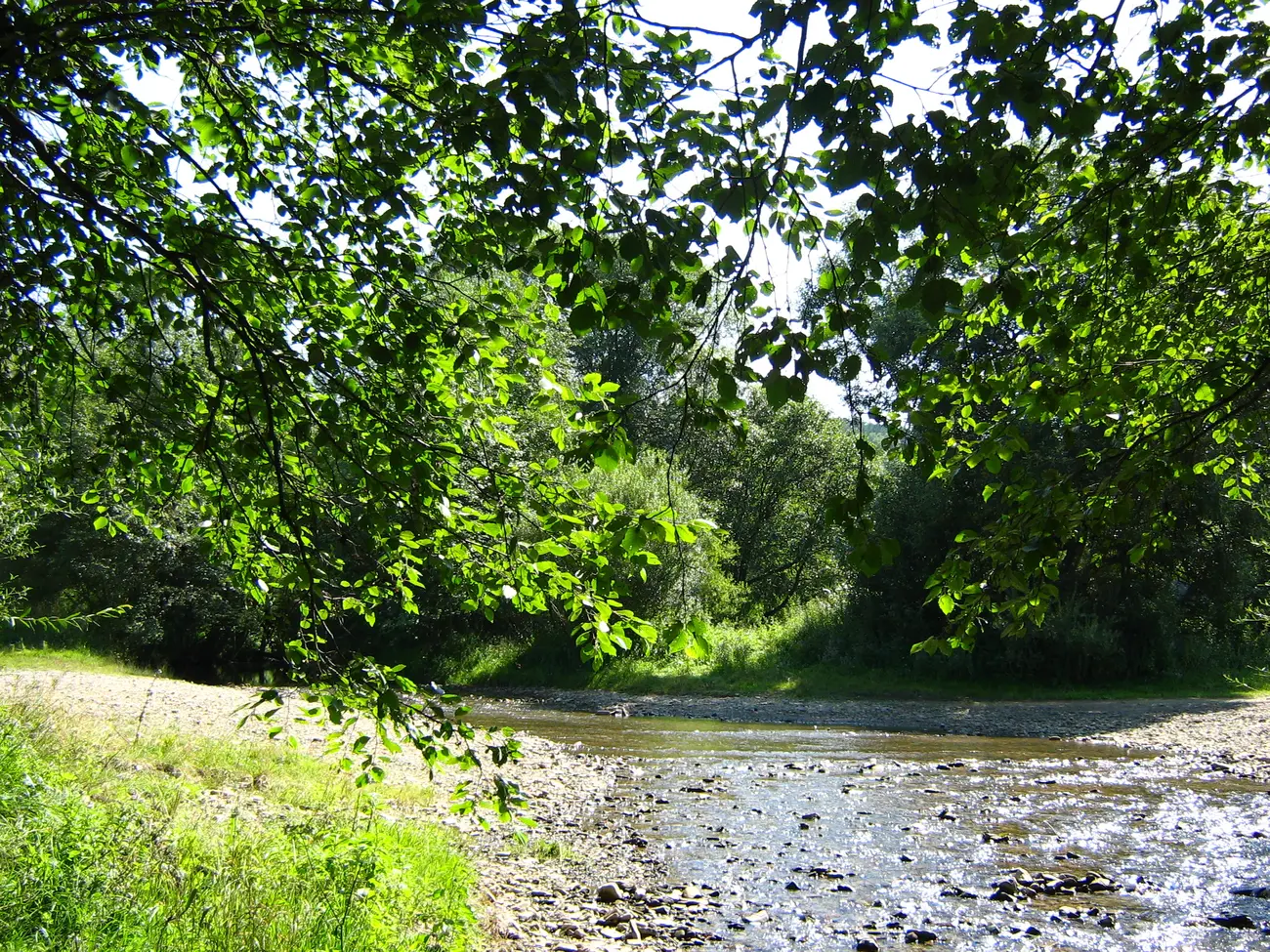 Dorzecze G rnej Wis oki Odkrywamy Beskid Niski