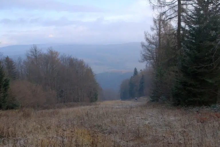 Pasmo Magurskie – odkryj piękno tego zakątka Beskidu Niskiego