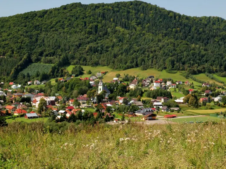 Homola w Beskidzie Niskim i prowadzące do niej szlaki