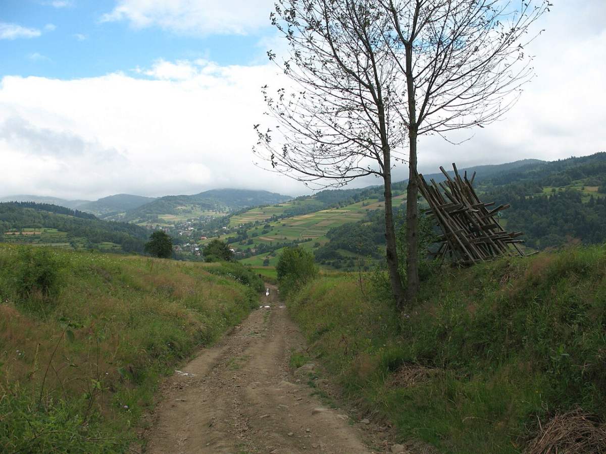 barwinok