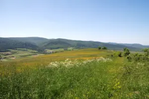 Bucznik (Beskid Niski) – przewodnik po szlakach i atrakcjach