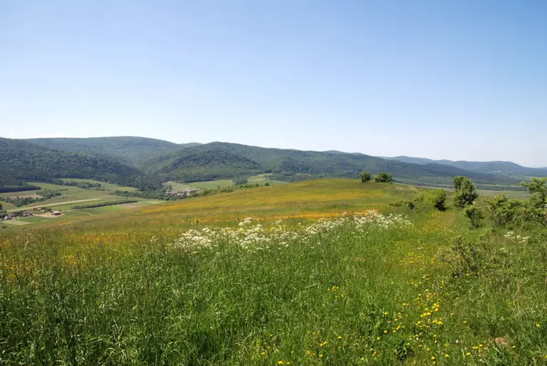 Bucznik (Beskid Niski) – przewodnik po szlakach i atrakcjach