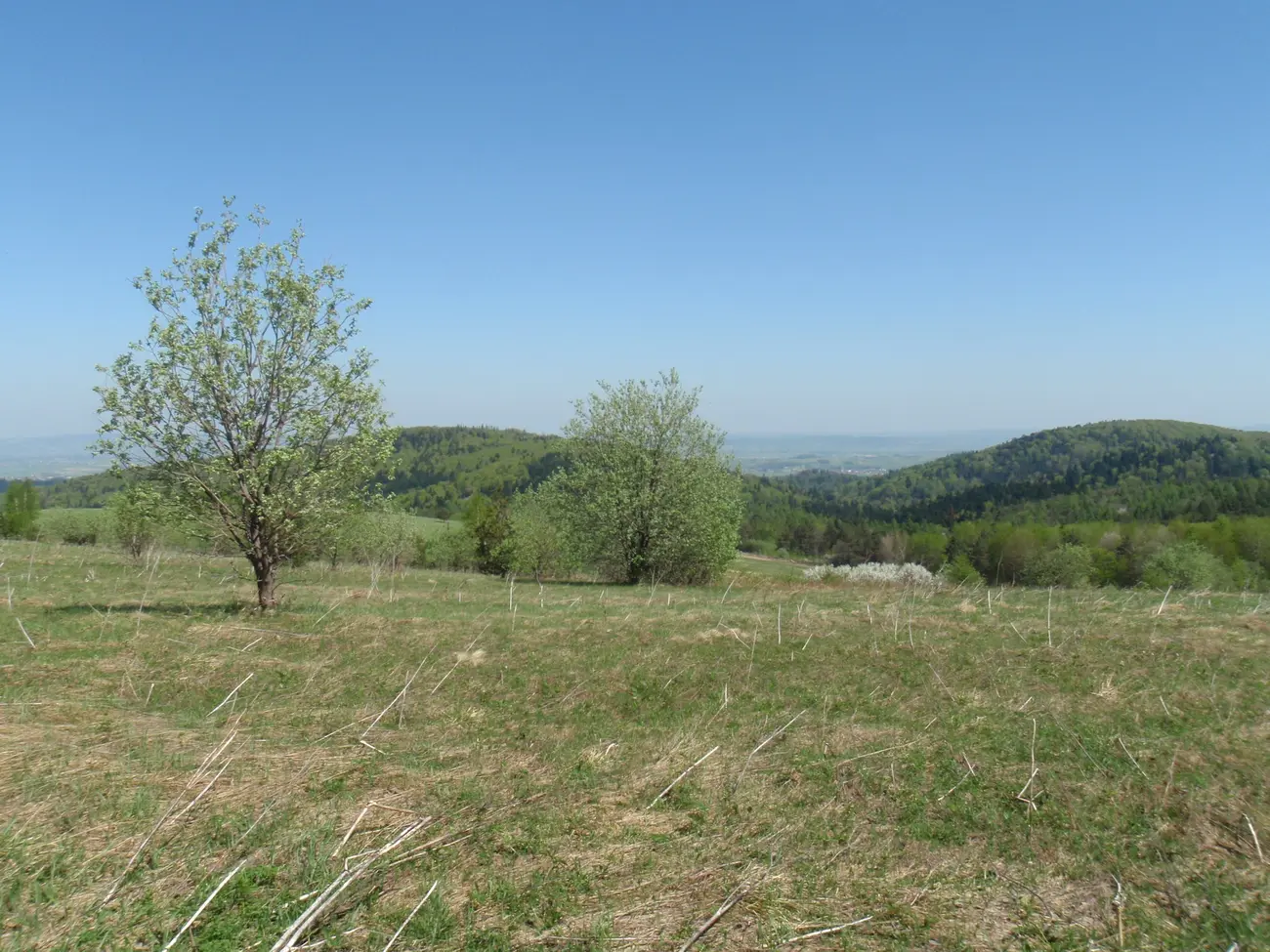 Wzgórza Rymanowskie