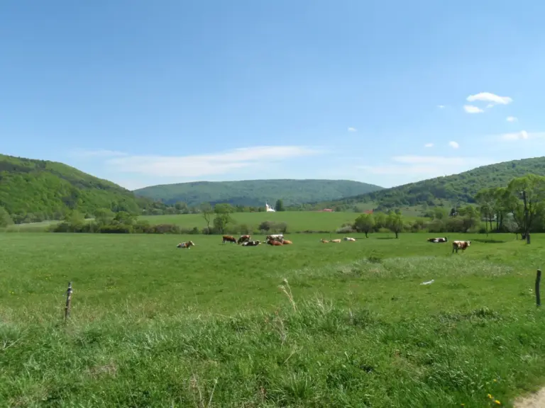 Ostry Wierch w Beskidzie Niskim – szlaki. Praktyczne informacje dla turystów