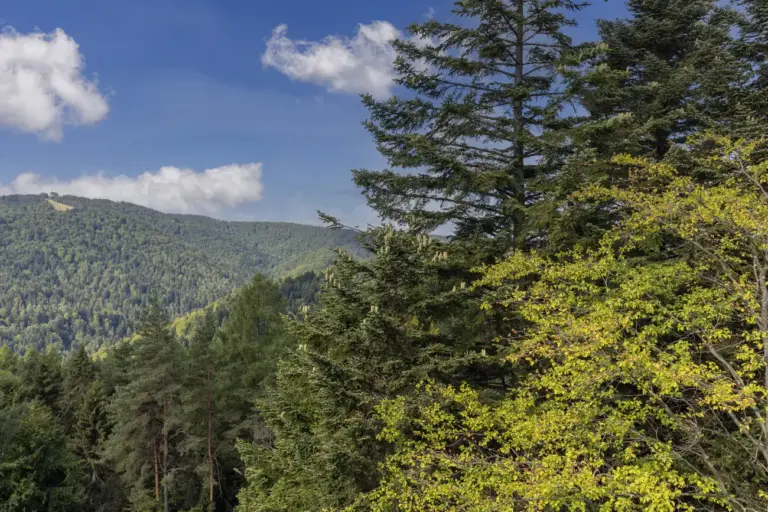 Przełęcz Hutniańska i okolice. Gotowy plan na jednodniową wycieczkę