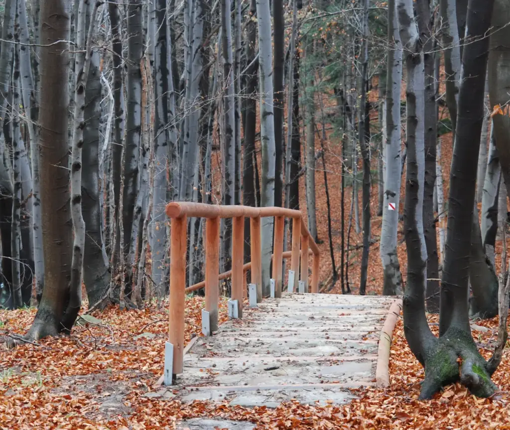 Magurski Park Narodowy mostek
